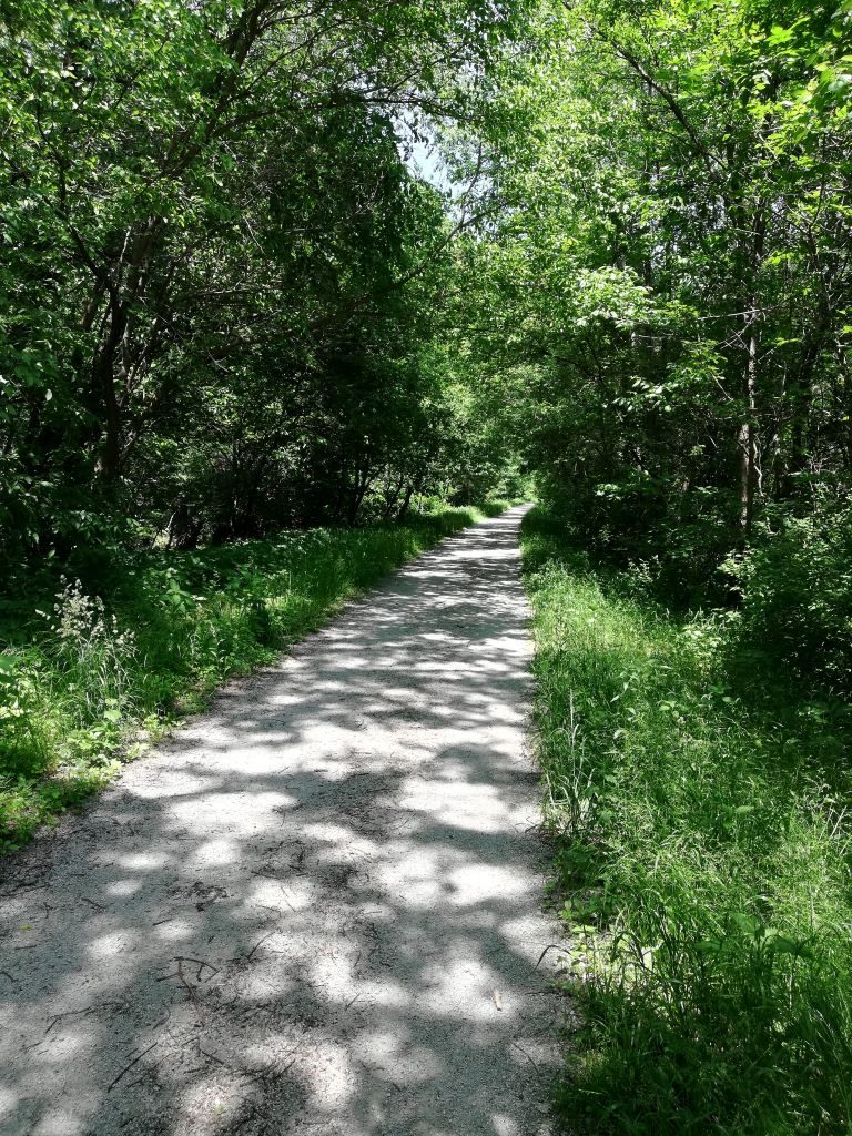 limestone trail through a wooded area